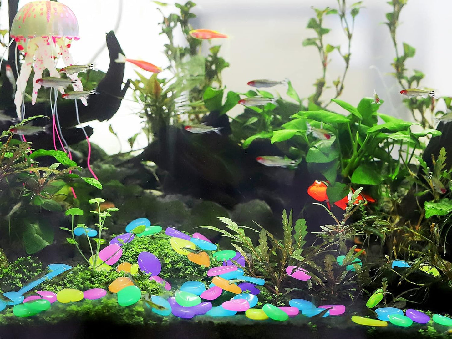 Luminous Stones – Mixed Color Glow Stones