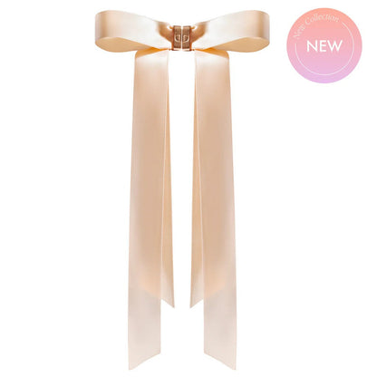 2 in 1 Magnetic Hair Bow Clip