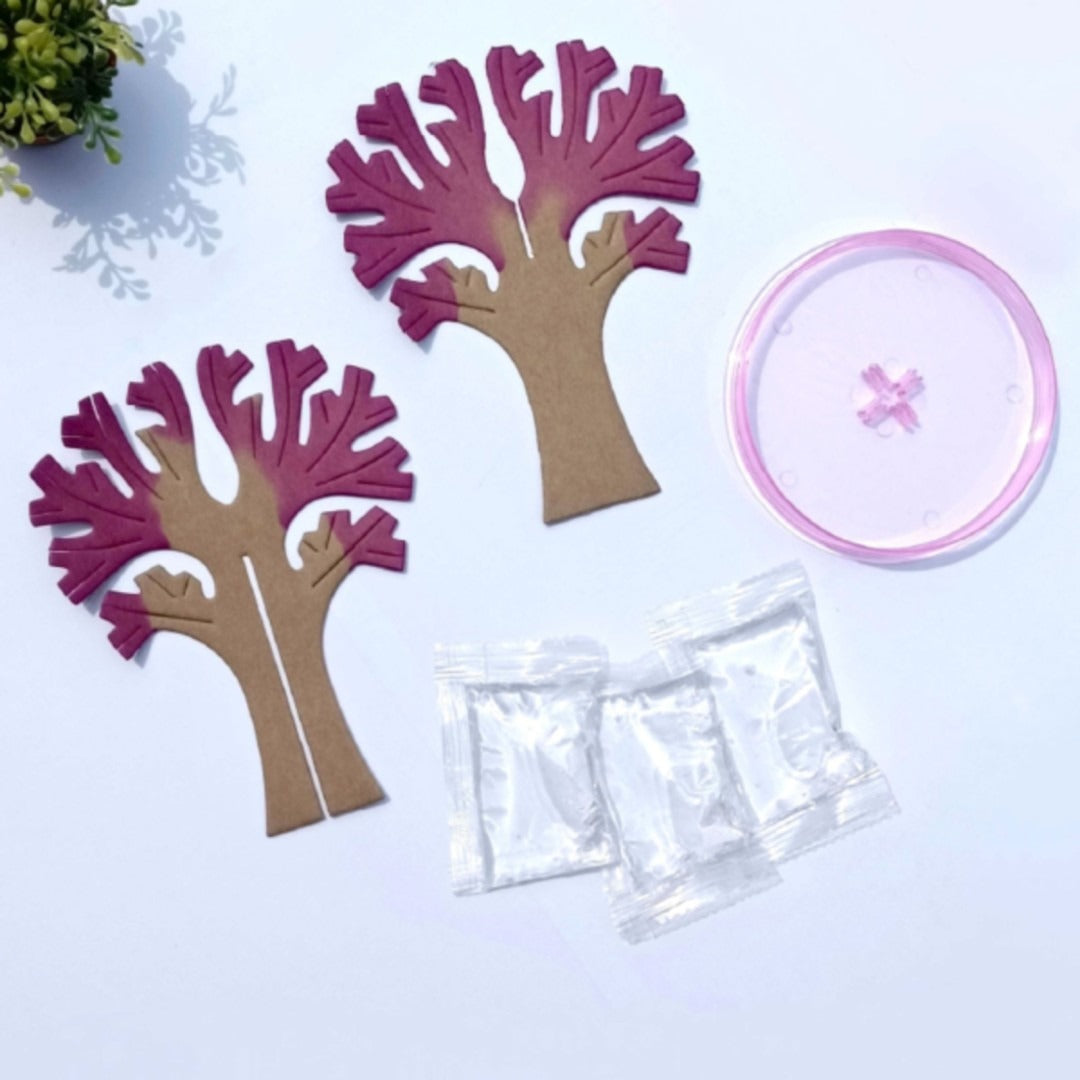 DIY Scented Magic Sakura Garden