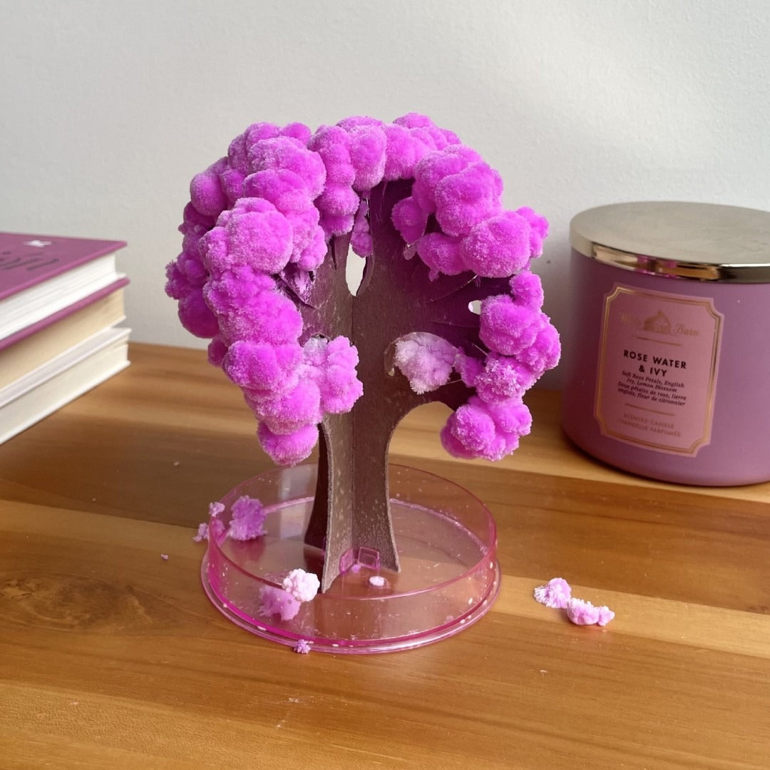 DIY Scented Magic Sakura Garden