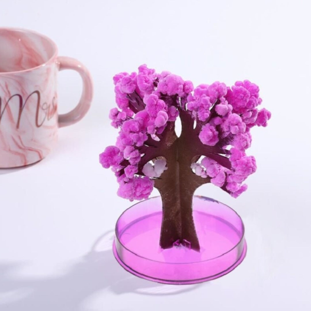 DIY Scented Magic Sakura Garden